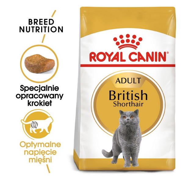 Royal Canin British Shorthair Adult karma sucha dla kotów dorosłych rasy brytyjski krótkowłosy 4kg