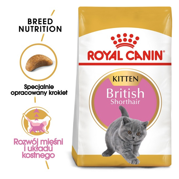 Royal Canin British Shorthair Kitten karma sucha dla kociąt, do 12 miesiąca, rasy brytyjski krótkowłosy 400g