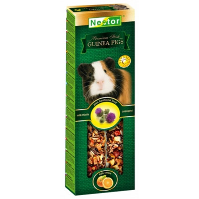 Nestor Kolba Świnka morska...