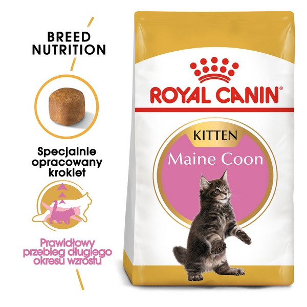 Royal Canin Maine Coon Kitten karma sucha dla kociąt, do 15 miesiąca, rasy maine coon 2kg