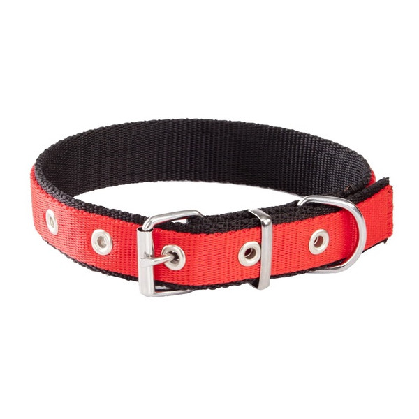 Dingo Obroża taśma polipropylenowa podwójnie zszywana 2,5cm/60cm czerwono-czarna