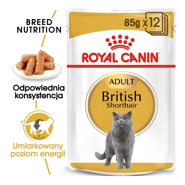 Royal Canin British Shorthair karma mokra w sosie dla kotów dorosłych rasy brytyjski krótkowłosy saszetka 85g