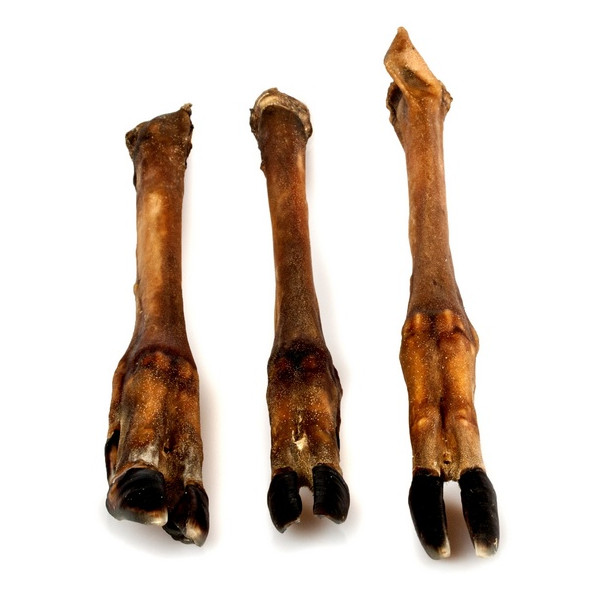 Balto Racica jelenia 2szt