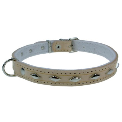 Champion Obroża Skórzana...