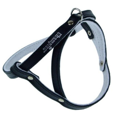 Champion Szelki 50 czarne [SD]