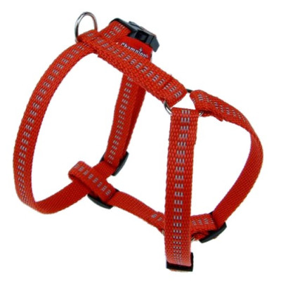 Champion Szelki Taśma...