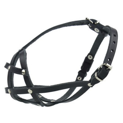 Champion Kaganiec skórzany...