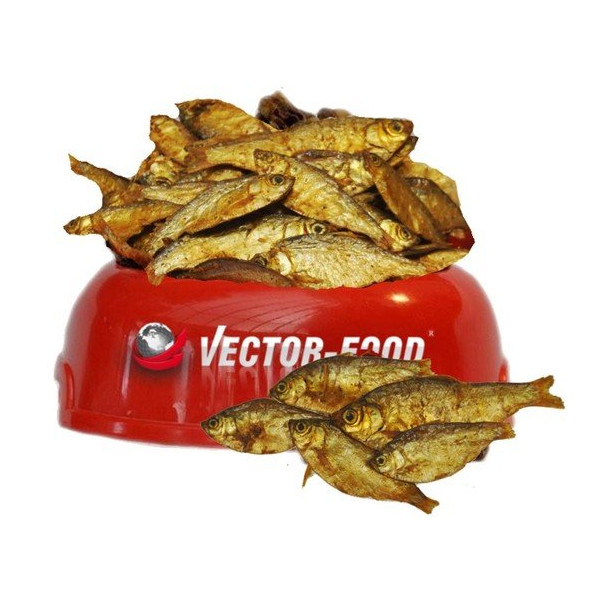 Vector-Food Suszona rybka (sardynka) 100g