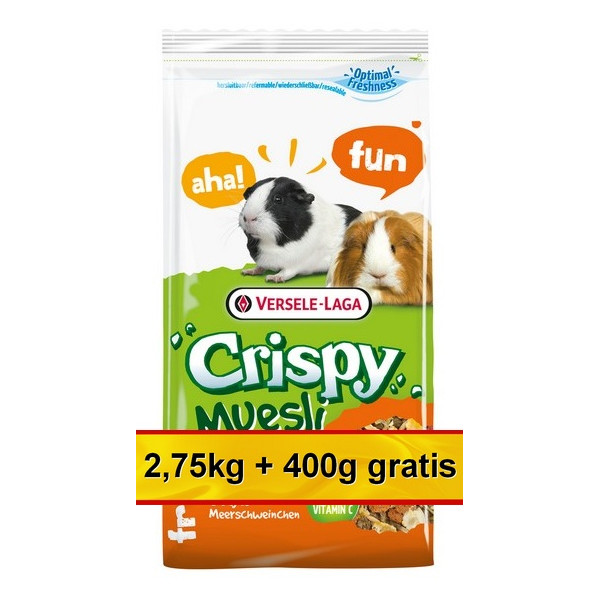 Versele-Laga Crispy Muesli Guinea Pig - pokarm dla świnki morskiej 3,15kg (2,75+0,4kg gratis)