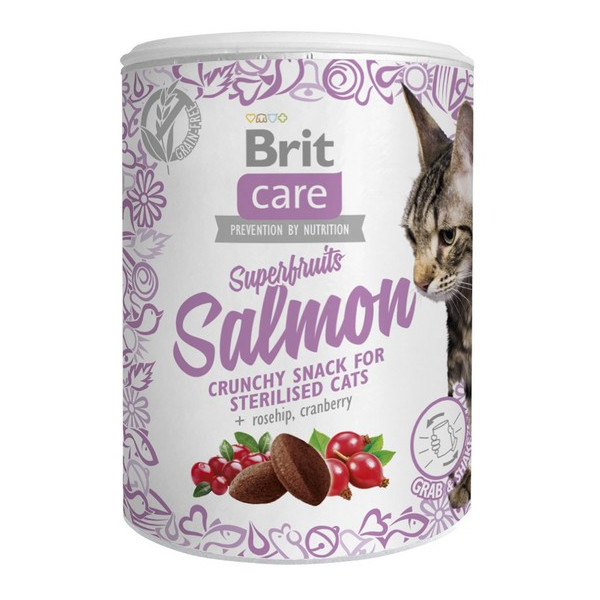 Brit Care Cat Snack Superfruits Salmon 100g