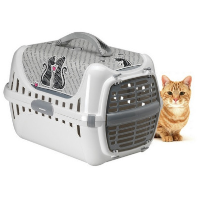 Yarro/Moderna Transporter...